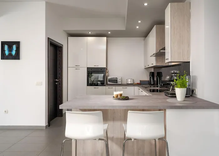 Papillon Villa Kaštelir